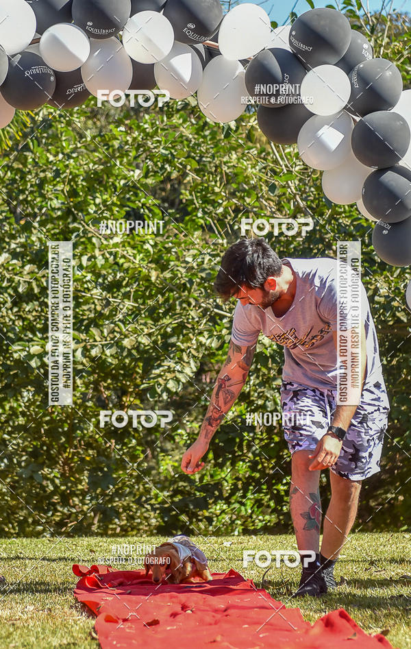 Buy your photos of the event5 Encontro Oficial de Dachshunds e Concurso de Fantasias do Clube dos Salsichanos de Ribeiro Preto/SP on Fotop