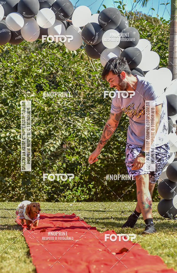 Buy your photos of the event5 Encontro Oficial de Dachshunds e Concurso de Fantasias do Clube dos Salsichanos de Ribeiro Preto/SP on Fotop