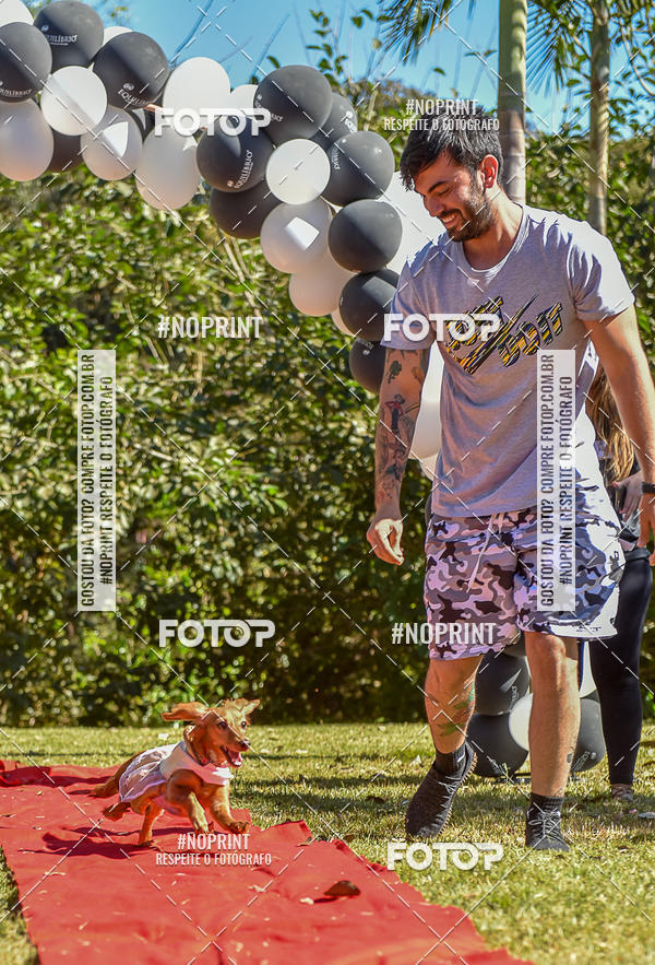 Buy your photos of the event5 Encontro Oficial de Dachshunds e Concurso de Fantasias do Clube dos Salsichanos de Ribeiro Preto/SP on Fotop