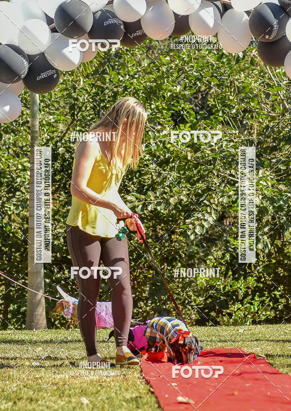 Buy your photos of the event5 Encontro Oficial de Dachshunds e Concurso de Fantasias do Clube dos Salsichanos de Ribeiro Preto/SP on Fotop