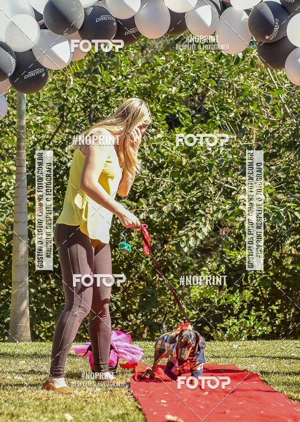 Buy your photos of the event5 Encontro Oficial de Dachshunds e Concurso de Fantasias do Clube dos Salsichanos de Ribeiro Preto/SP on Fotop