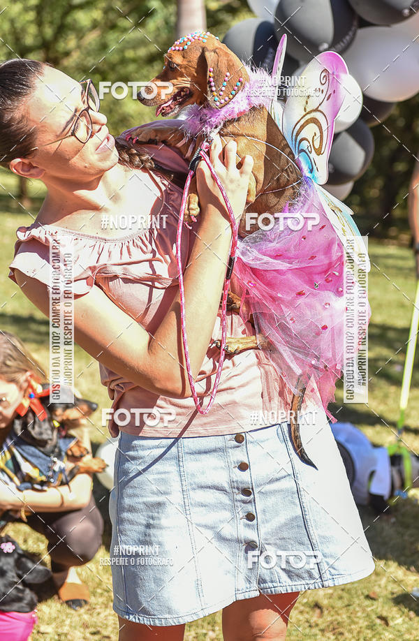 Buy your photos of the event5 Encontro Oficial de Dachshunds e Concurso de Fantasias do Clube dos Salsichanos de Ribeiro Preto/SP on Fotop