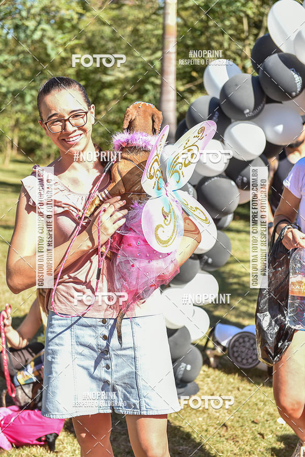 Buy your photos of the event5 Encontro Oficial de Dachshunds e Concurso de Fantasias do Clube dos Salsichanos de Ribeiro Preto/SP on Fotop