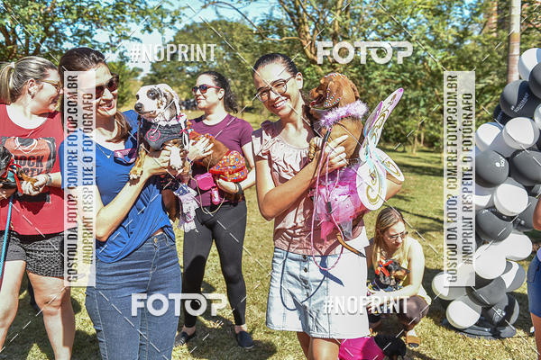 Buy your photos of the event5 Encontro Oficial de Dachshunds e Concurso de Fantasias do Clube dos Salsichanos de Ribeiro Preto/SP on Fotop
