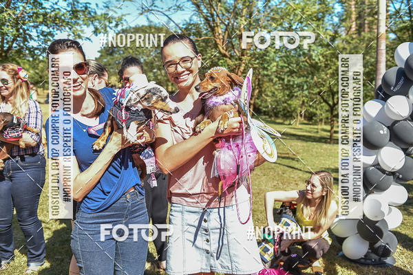 Buy your photos of the event5 Encontro Oficial de Dachshunds e Concurso de Fantasias do Clube dos Salsichanos de Ribeiro Preto/SP on Fotop