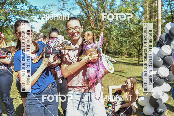 Buy your photos of the event5 Encontro Oficial de Dachshunds e Concurso de Fantasias do Clube dos Salsichanos de Ribeiro Preto/SP on Fotop