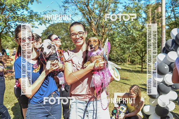 Buy your photos of the event5 Encontro Oficial de Dachshunds e Concurso de Fantasias do Clube dos Salsichanos de Ribeiro Preto/SP on Fotop