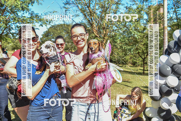 Buy your photos of the event5 Encontro Oficial de Dachshunds e Concurso de Fantasias do Clube dos Salsichanos de Ribeiro Preto/SP on Fotop