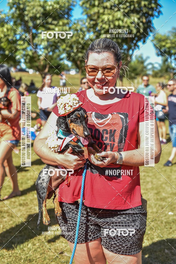Buy your photos of the event5 Encontro Oficial de Dachshunds e Concurso de Fantasias do Clube dos Salsichanos de Ribeiro Preto/SP on Fotop