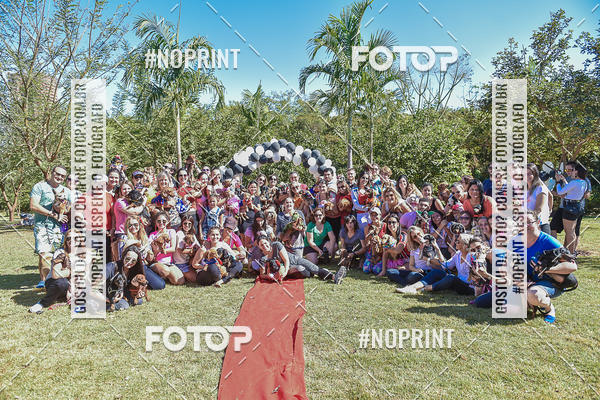 Buy your photos of the event5 Encontro Oficial de Dachshunds e Concurso de Fantasias do Clube dos Salsichanos de Ribeiro Preto/SP on Fotop