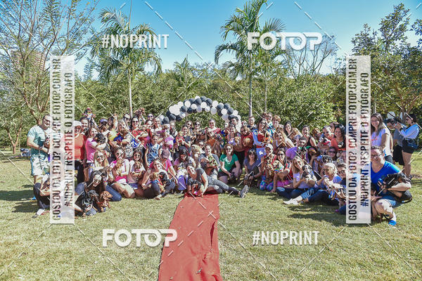 Buy your photos of the event5 Encontro Oficial de Dachshunds e Concurso de Fantasias do Clube dos Salsichanos de Ribeiro Preto/SP on Fotop