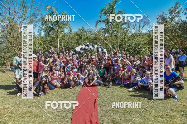 Buy your photos of the event5 Encontro Oficial de Dachshunds e Concurso de Fantasias do Clube dos Salsichanos de Ribeiro Preto/SP on Fotop