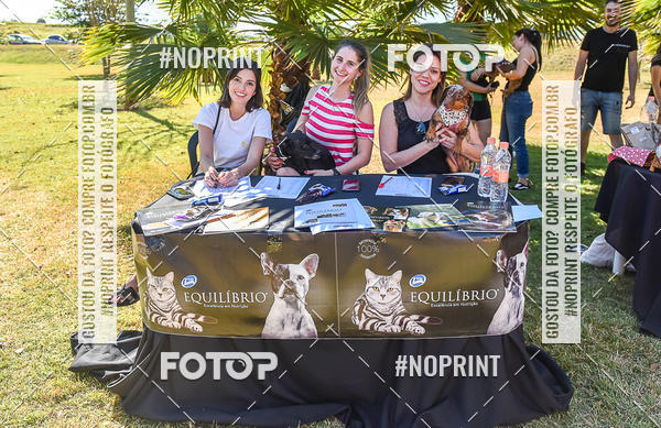 Buy your photos of the event5 Encontro Oficial de Dachshunds e Concurso de Fantasias do Clube dos Salsichanos de Ribeiro Preto/SP on Fotop