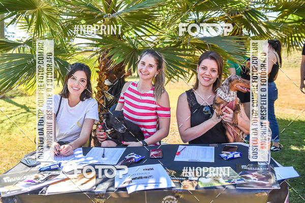 Buy your photos of the event5 Encontro Oficial de Dachshunds e Concurso de Fantasias do Clube dos Salsichanos de Ribeiro Preto/SP on Fotop