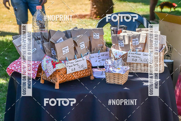 Buy your photos of the event5 Encontro Oficial de Dachshunds e Concurso de Fantasias do Clube dos Salsichanos de Ribeiro Preto/SP on Fotop