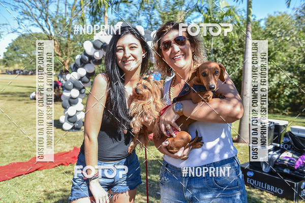 Buy your photos of the event5 Encontro Oficial de Dachshunds e Concurso de Fantasias do Clube dos Salsichanos de Ribeiro Preto/SP on Fotop