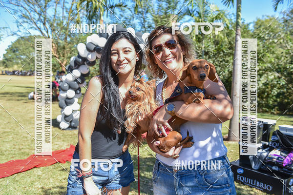 Buy your photos of the event5 Encontro Oficial de Dachshunds e Concurso de Fantasias do Clube dos Salsichanos de Ribeiro Preto/SP on Fotop