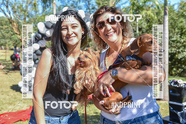 Buy your photos of the event5 Encontro Oficial de Dachshunds e Concurso de Fantasias do Clube dos Salsichanos de Ribeiro Preto/SP on Fotop