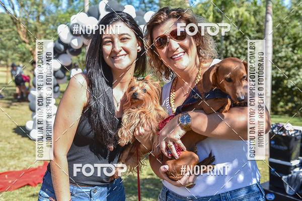 Buy your photos of the event5 Encontro Oficial de Dachshunds e Concurso de Fantasias do Clube dos Salsichanos de Ribeiro Preto/SP on Fotop
