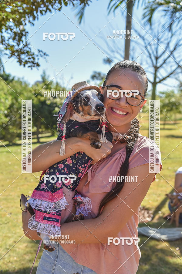 Buy your photos of the event5 Encontro Oficial de Dachshunds e Concurso de Fantasias do Clube dos Salsichanos de Ribeiro Preto/SP on Fotop
