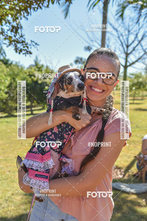 Buy your photos of the event5 Encontro Oficial de Dachshunds e Concurso de Fantasias do Clube dos Salsichanos de Ribeiro Preto/SP on Fotop