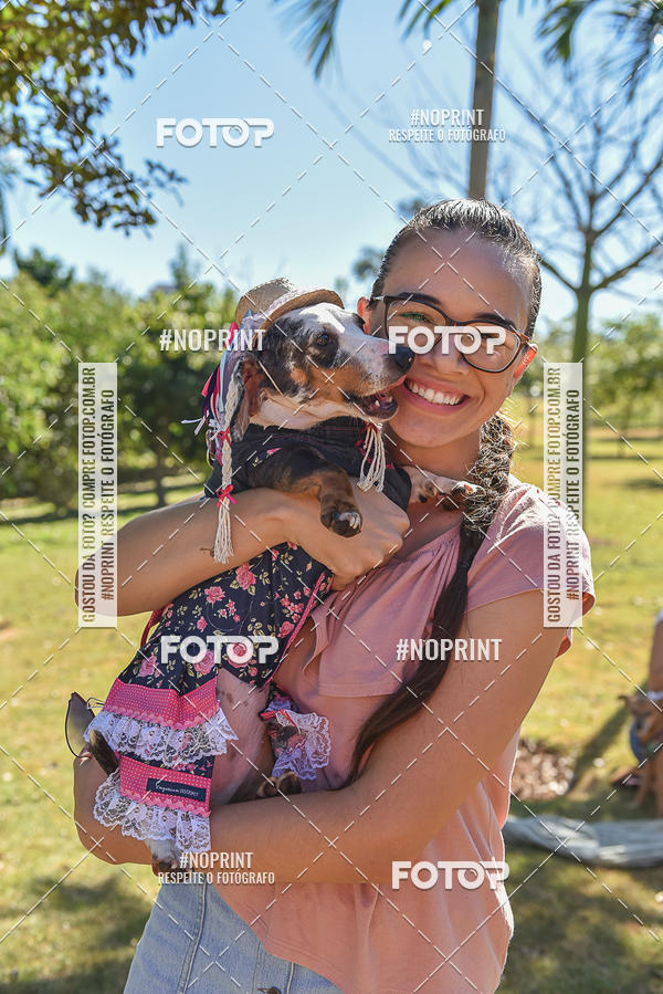 Buy your photos of the event5 Encontro Oficial de Dachshunds e Concurso de Fantasias do Clube dos Salsichanos de Ribeiro Preto/SP on Fotop