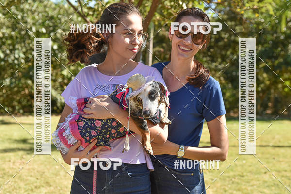 Buy your photos of the event5 Encontro Oficial de Dachshunds e Concurso de Fantasias do Clube dos Salsichanos de Ribeiro Preto/SP on Fotop