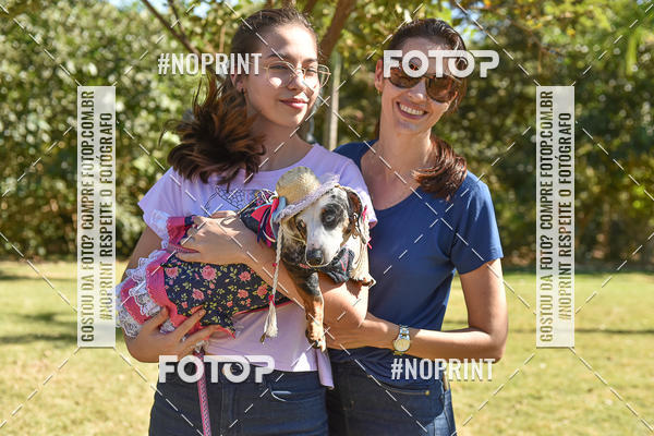 Buy your photos of the event5 Encontro Oficial de Dachshunds e Concurso de Fantasias do Clube dos Salsichanos de Ribeiro Preto/SP on Fotop