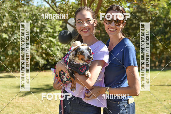 Buy your photos of the event5 Encontro Oficial de Dachshunds e Concurso de Fantasias do Clube dos Salsichanos de Ribeiro Preto/SP on Fotop