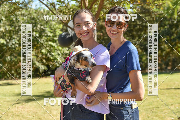 Buy your photos of the event5 Encontro Oficial de Dachshunds e Concurso de Fantasias do Clube dos Salsichanos de Ribeiro Preto/SP on Fotop