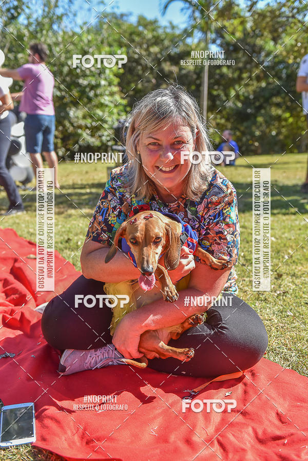 Buy your photos of the event5 Encontro Oficial de Dachshunds e Concurso de Fantasias do Clube dos Salsichanos de Ribeiro Preto/SP on Fotop