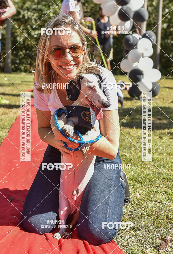 Buy your photos of the event5 Encontro Oficial de Dachshunds e Concurso de Fantasias do Clube dos Salsichanos de Ribeiro Preto/SP on Fotop