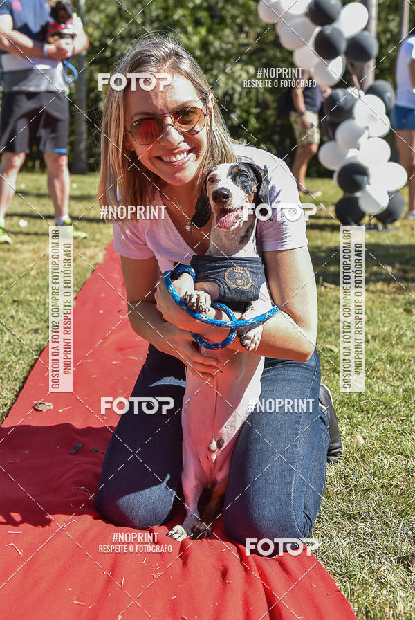 Buy your photos of the event5 Encontro Oficial de Dachshunds e Concurso de Fantasias do Clube dos Salsichanos de Ribeiro Preto/SP on Fotop