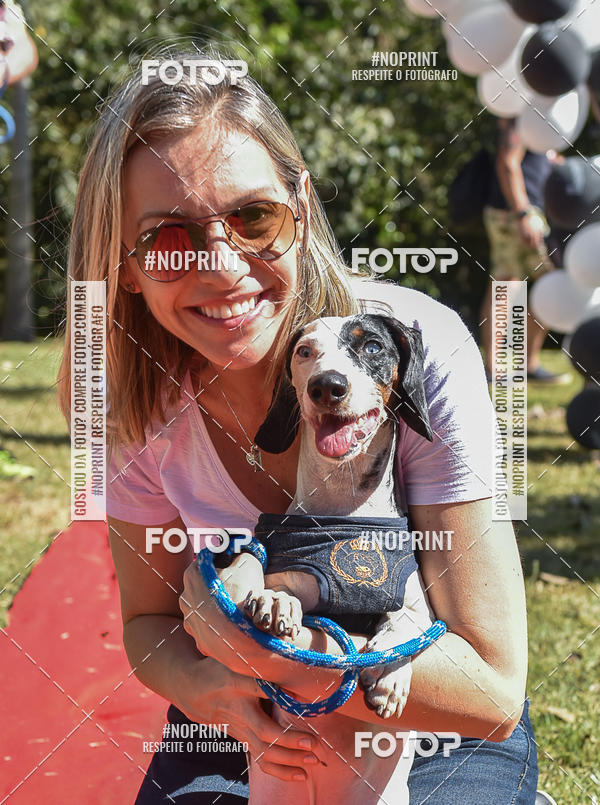 Buy your photos of the event5 Encontro Oficial de Dachshunds e Concurso de Fantasias do Clube dos Salsichanos de Ribeiro Preto/SP on Fotop
