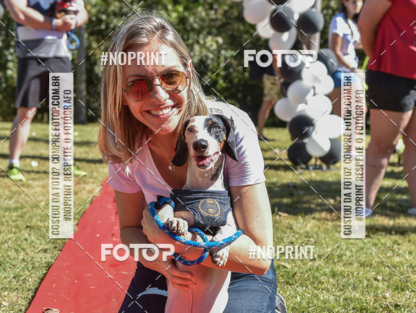 Buy your photos of the event5 Encontro Oficial de Dachshunds e Concurso de Fantasias do Clube dos Salsichanos de Ribeiro Preto/SP on Fotop