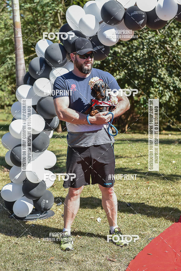 Buy your photos of the event5 Encontro Oficial de Dachshunds e Concurso de Fantasias do Clube dos Salsichanos de Ribeiro Preto/SP on Fotop