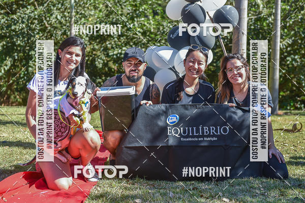 Compre as suas fotos do evento5� Encontro Oficial de Dachshunds e Concurso de Fantasias do Clube dos Salsichanos de Ribeir�o Preto/SP no Fotop