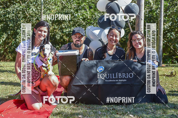 Buy your photos of the event5 Encontro Oficial de Dachshunds e Concurso de Fantasias do Clube dos Salsichanos de Ribeiro Preto/SP on Fotop