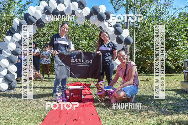 Compre as suas fotos do evento5� Encontro Oficial de Dachshunds e Concurso de Fantasias do Clube dos Salsichanos de Ribeir�o Preto/SP no Fotop