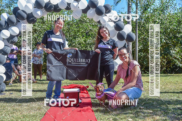 Compre as suas fotos do evento5� Encontro Oficial de Dachshunds e Concurso de Fantasias do Clube dos Salsichanos de Ribeir�o Preto/SP no Fotop