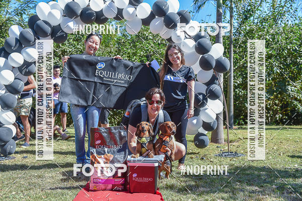 Compre as suas fotos do evento5� Encontro Oficial de Dachshunds e Concurso de Fantasias do Clube dos Salsichanos de Ribeir�o Preto/SP no Fotop