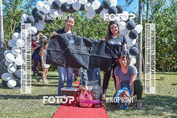 Compre as suas fotos do evento5� Encontro Oficial de Dachshunds e Concurso de Fantasias do Clube dos Salsichanos de Ribeir�o Preto/SP no Fotop