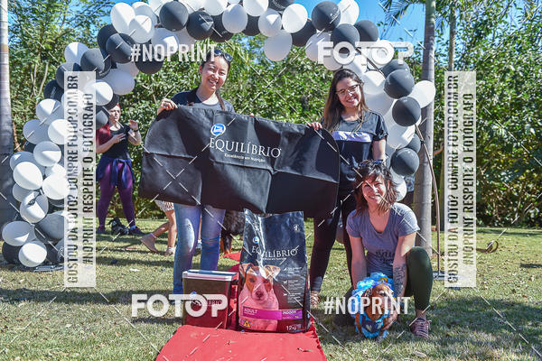 Compre as suas fotos do evento5� Encontro Oficial de Dachshunds e Concurso de Fantasias do Clube dos Salsichanos de Ribeir�o Preto/SP no Fotop