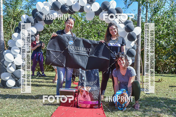 Compre as suas fotos do evento5� Encontro Oficial de Dachshunds e Concurso de Fantasias do Clube dos Salsichanos de Ribeir�o Preto/SP no Fotop