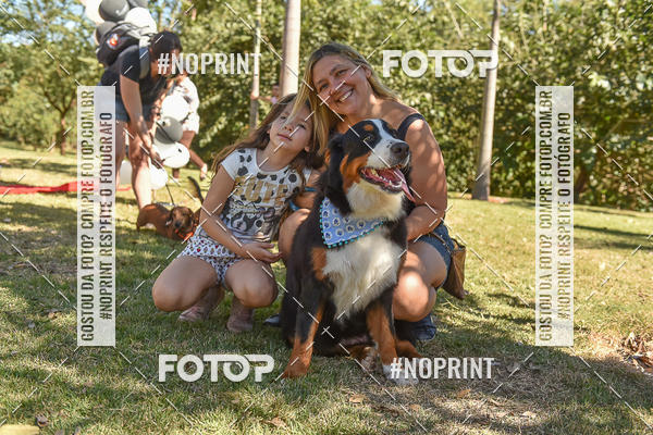 Compre as suas fotos do evento5� Encontro Oficial de Dachshunds e Concurso de Fantasias do Clube dos Salsichanos de Ribeir�o Preto/SP no Fotop