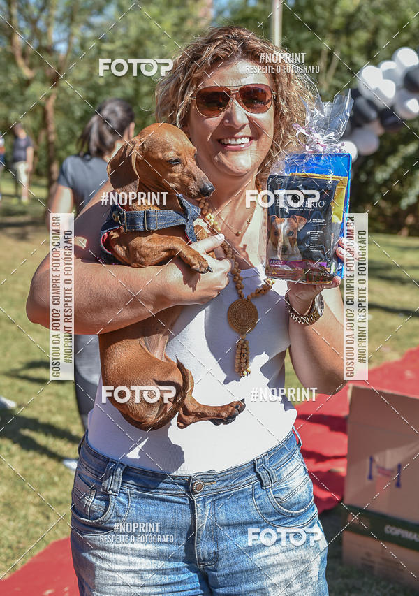 Compre as suas fotos do evento5� Encontro Oficial de Dachshunds e Concurso de Fantasias do Clube dos Salsichanos de Ribeir�o Preto/SP no Fotop
