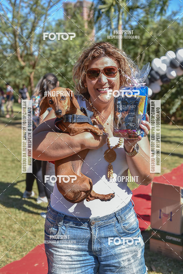 Compre as suas fotos do evento5� Encontro Oficial de Dachshunds e Concurso de Fantasias do Clube dos Salsichanos de Ribeir�o Preto/SP no Fotop