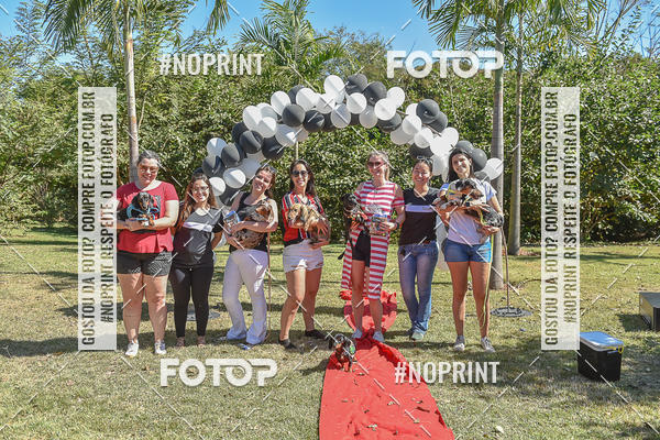 Compre as suas fotos do evento5� Encontro Oficial de Dachshunds e Concurso de Fantasias do Clube dos Salsichanos de Ribeir�o Preto/SP no Fotop