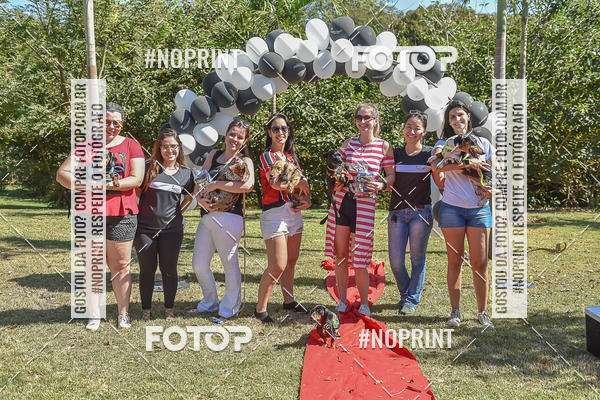 Compre as suas fotos do evento5� Encontro Oficial de Dachshunds e Concurso de Fantasias do Clube dos Salsichanos de Ribeir�o Preto/SP no Fotop