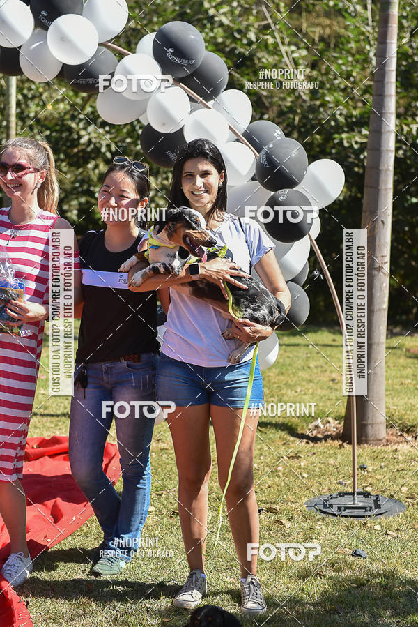 Compre as suas fotos do evento5� Encontro Oficial de Dachshunds e Concurso de Fantasias do Clube dos Salsichanos de Ribeir�o Preto/SP no Fotop